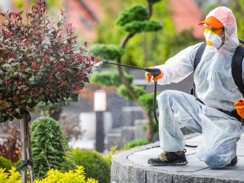 Ürgüp Haşere İlaçlama